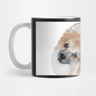 Pomeranian Mug